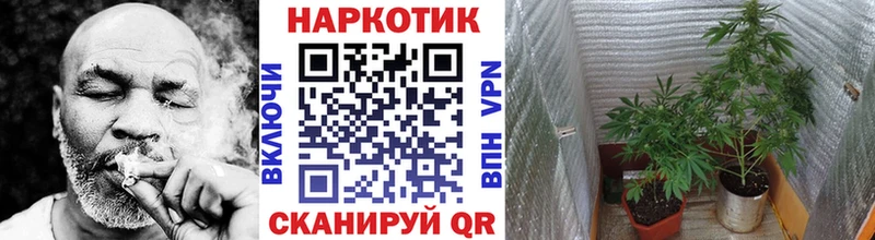 Какие есть наркотики Судак Гашиш Кокаин АМФ A-PVP Каннабис Галлюциногенные грибы МЕФ
