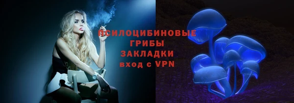 молекула духа Россошь