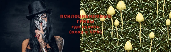 молекула духа Россошь