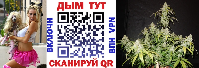 купить сайты Судак Бошки Шишки THC 21%